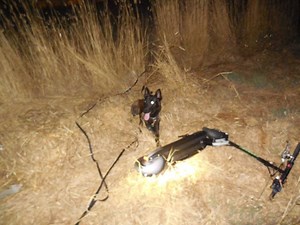 Pinole Police Dog Finds Stolen Property
