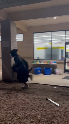 They was on scream ass fse #spookyseason #highlights | Montana Clipz