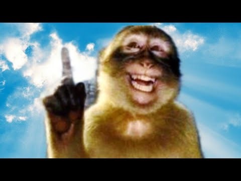 Monkey Core Part 6 (Absolute Brainrot🧠)