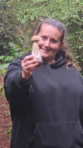 62 reactions · 15 comments | More mushrooms | Aaron Vargas | Facebook