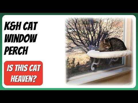 REVIEW (2026): K&H Cat Window Perch. Features.
