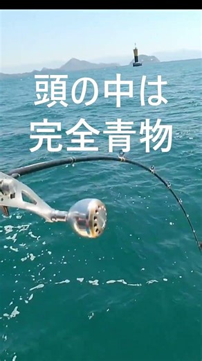 I was reeling it in thinking it was a bluefish.