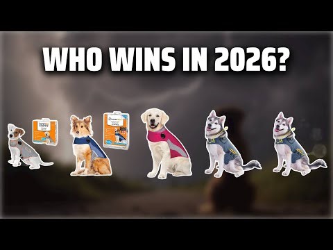 The Top 5 Best Thunder Jackets in 2026 - Must Watch Before Buying!