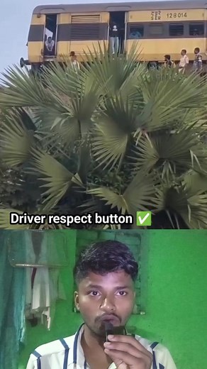 Train driver respect button ✅ . . . #train #driver #Respect #treading #viralreelsシ #viralvideoシ #reels | Hosyiar facts