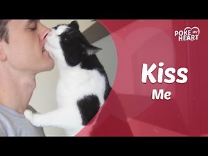 People & Animals Kissing Compilation | Poke My Heart