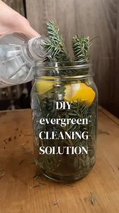 1.6K views · 160 reactions | DIY evergreen spray using your Christmas tree clippings!  #christmas #upcycle #recycle #reuse #christmastree #allnatural #diycleaning #diyspray #homehack #cleaningspray #easydiy #winter #vinegar #christmastreehack #christmashack | Crafty Lumberjacks | Facebook