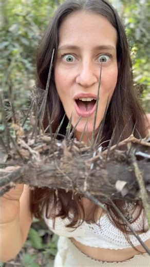 GIANT😱 #shortvideo #shorts #funny #funnyvideo