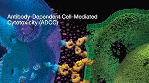 Still using primary cell cultures for your ADCC methods? Eliminate the variability associated with primary cells by using ADCC Reporter Bioassays. Learn more: https://bit.ly/2FI3VQe | The Scientist