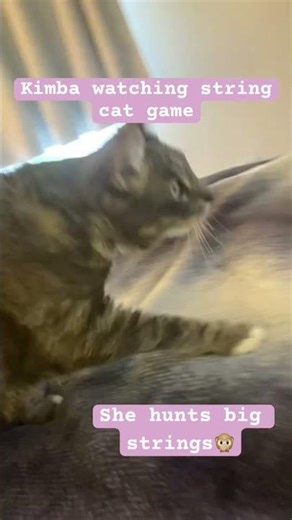 Kimba hunting a string #catshorts #cats #cutecats #cute #kittenlife