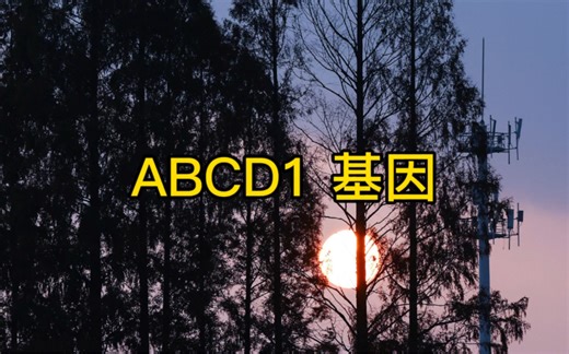 ABCD1基因介绍