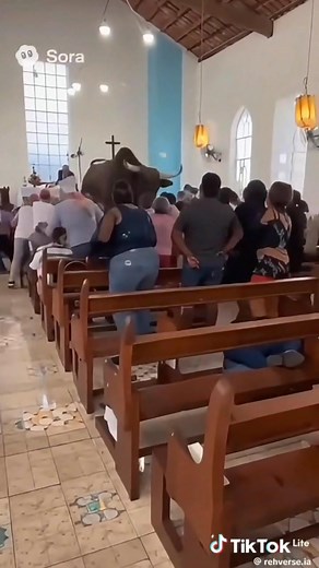 Satan ha romeletsa o tlile self krekeng... | Snr Tonca