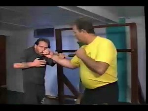 Advanced Wing Chun Training