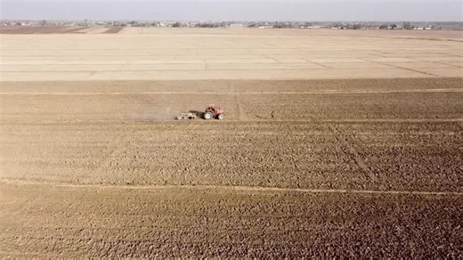 Iraq's dreams of wheat independence dashed by water crisis