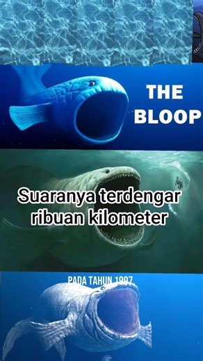Tahukah kamu tentang bloop sound, suara misterius dari laut dalam!! #shorts