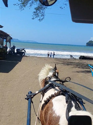 Naik Delman Putar di Pantai Sine: Rute ke Cemoro Sewu dari IPP
