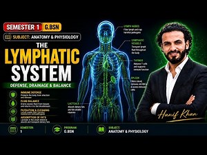 The Lymphatic System | How It Works & Why It Matters | Anatomy & physiology explained by Tutor