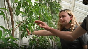 Gardening brings us joy and helps us build healthier lives, stronger communities and thriving environments 🌱 Everyone’s experience of gardening is different, but if you have plants, you are a gardener and we'll support your lifelong adventure every step of the way! Find out how 👀 https://www.rhs.org.uk/about-us/what-we-do/rhs-strategy-to-2030 | RHS - Royal Horticultural Society