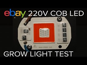 Ebay mains COB LED grow light test