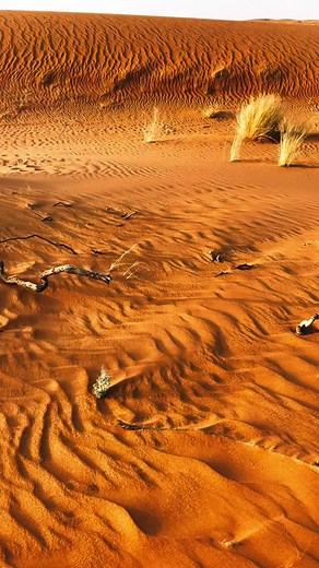 Stunning Desert Landscapes of Rolling Sand Dunes