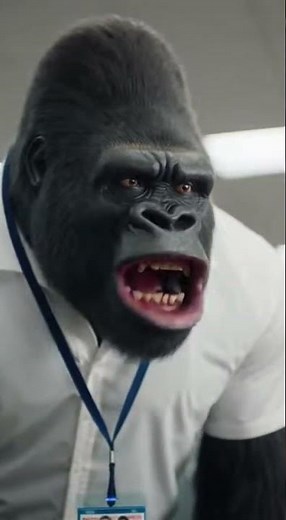 Don't say it at work! ❌ Hump Day Parodyhumpday #corporatehumor #officelife #gorilla #hr #funnyvideos