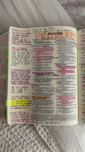 Book of Proverbs Bible Study Notes + Bible Journaling ✏️✨