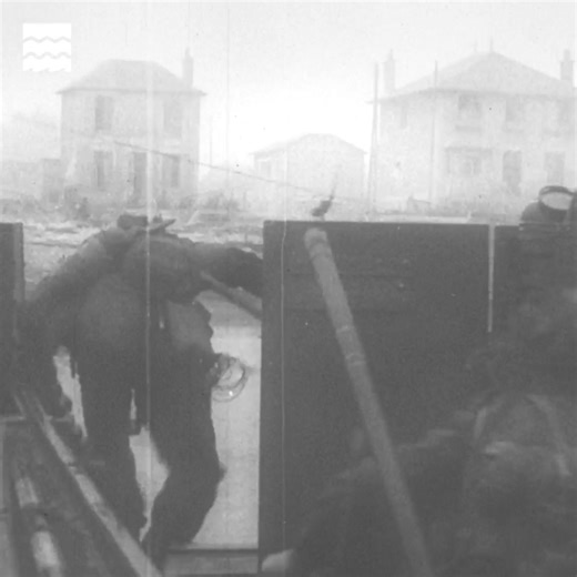 9K views · 153 reactions | On 6 June 1944, 80 years ago, the Allied...