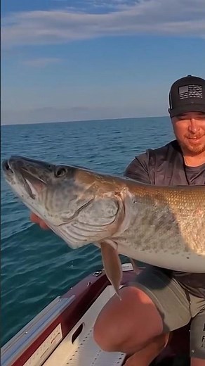 MEGA MUSKY On Lake St. Clair!!