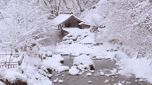 Canon XC15 | Tokyo and Gunma in January