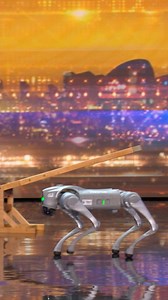 622K views · 5K reactions | He's still a good boy to us 烙 #BGT | Britain's Got Talent | Facebook