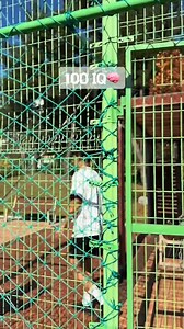 10K views · 57 reactions | 100iq易 Bypass defender #football #soccer #fyp #skills #control | 100gunsu | Facebook