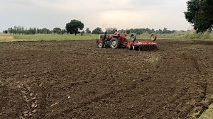 I love Massey on Reels