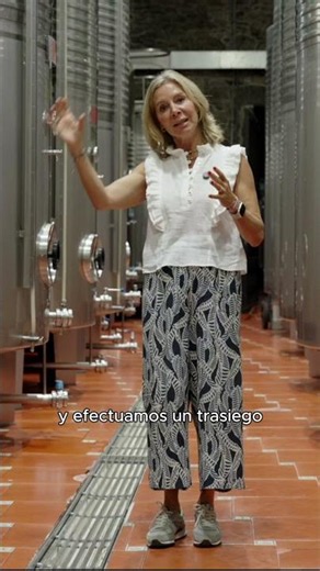 ¿Cómo se elabora un vino blanco?