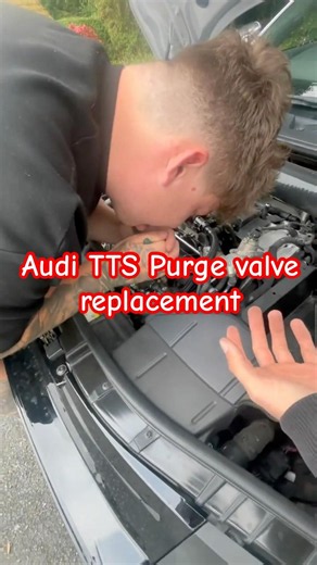 Audi TTS Purge valve replacement #mechanic #audi #tts