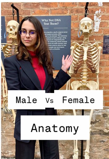 Understanding Pelvic Differences in Human Anatomy