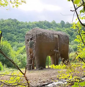 41K views · 581 reactions | Building a tree hut and living in a very dangerous wild forest! | Adventure and Nature | Facebook