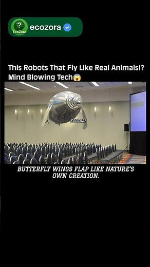 Meet Festo’s Flying Robots: Butterfly, Jelly & Penguin!🦋🤯🐧 #Robotics #Innovation #Future #Technology