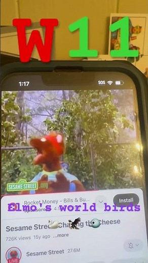 W 11 Elmo's world birds 🦢 🦅 🐦