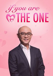 If You Are the One - stream tv show online