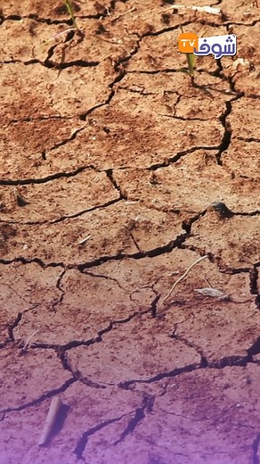494K views · 10K reactions | بسبب الجفاف..المغرب يغادر مرحلة الرخاء المائي | Chouf TV | Facebook