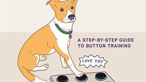 Can you really teach your dog to talk? What to know about 'button training.'