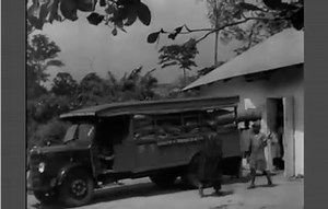 4.3K views · 90 reactions | NIGERIAN COCOA TRADE (1948) . . . Cocoa...