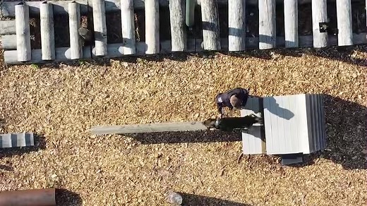 MEET THE K9s OF LAKE COUNTY!! | Lake County IL Sheriff's Office