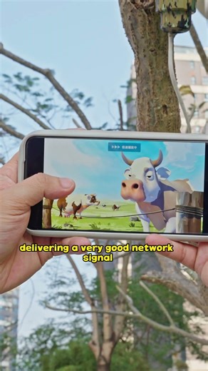 If your yard lacks WiFi, please use an outdoor router to release it#wifi #outdoors #router #wavlink