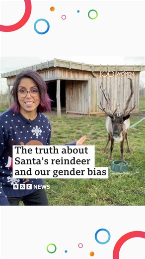 Santa’s reindeer would all be female according to science. That’s because female reindeer keep their antlers over winter but the males lose theirs. So where did we get the idea that Santa’s reindeer are male and what does our assumption about Santa’s reindeer tell us about ourselves and our perception of gender roles? Laura García @lauragrb digs into it with - Danielle Hearne, reindeer keeper at ZSL Whipsnade Zoo @zslwhipsnadezoo - Joyce Jacobsen, Professor in Economics at Wesleyan University @w