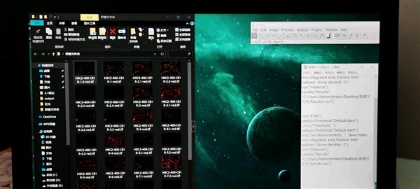 用imagej来进行大批量处理图片，进行细胞免疫荧光处理
