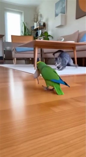 Joyful Scene of Feathers Fluttering in the Breeze