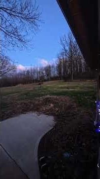 The Sound of Trees Falling All Around Us—This Storm Was Brutal #pennsylvania #extreme #shorts