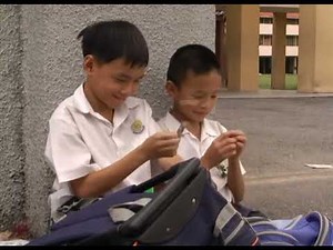 Flower In The Pocket 2007 EnSub