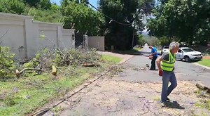 Tree that has fallen on Wilson Str, Fairland is being cleared by 'Jonte Tree Felling' & Fairland CPF Patrollers. | Suburban Control Centre