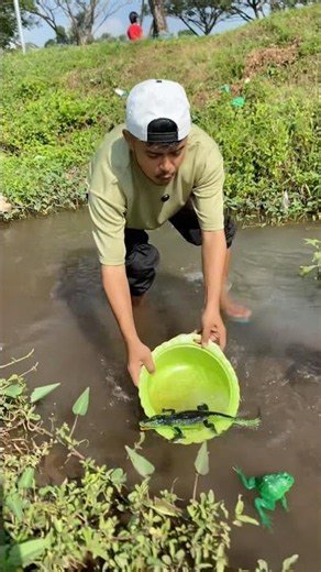 Village life never gets old… fishing like this hits different 😍🎣 #ViralFishing #amazingcatching